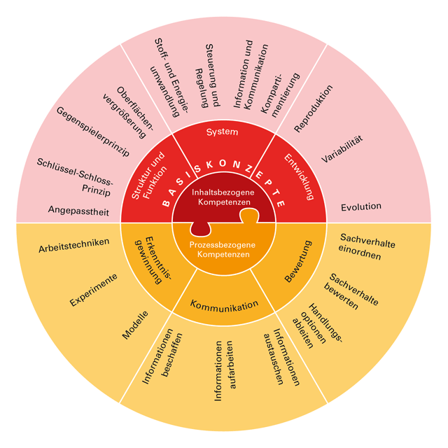 Abbildung 1: Inhaltsbezogene und prozessbezogene Kompetenzen  (Quelle: Bildungsplankommission Biologie)